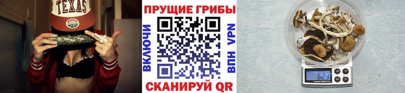 Галлюциногенные грибы прущие грибы  Купить  Лыткарино 